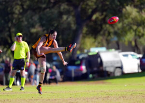 Pies’ pain is Hawks gain