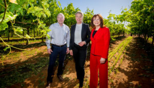 Workers ‘will be available’ for harvest, minister says