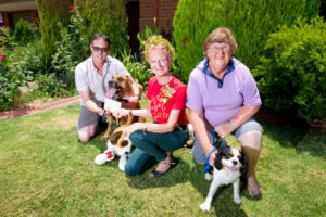 Dog act as SARG experiences influx of dumped canines over Christmas