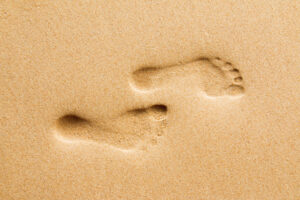 The beach is back, as visitors vote with their feet