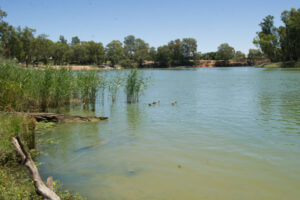 Darling River algae alert