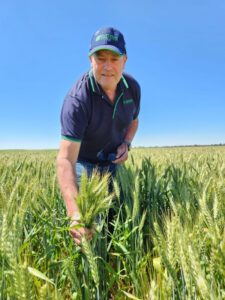 Mixed bag for grain growers