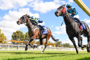 Have a pint and a punt while the kids play at Mildura races