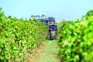 Promising start to harvest