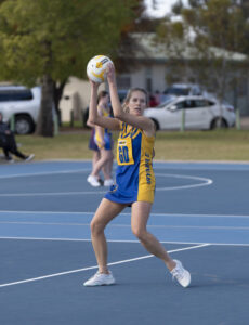 Swallows swoop on depleted Demons