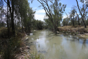 Committee to hear about water flow-on effects