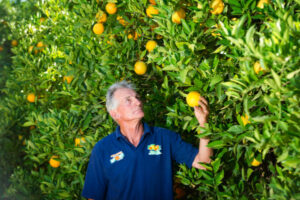 Sunraysia juice growers face squeeze after health star cut