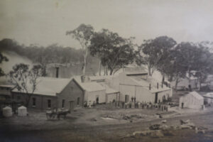 Photography in early Mildura