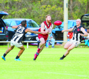 Vital win in the bag: Points keep Robinvale/Euston in thick of finals race
