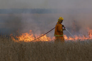 Total fire ban for second day
