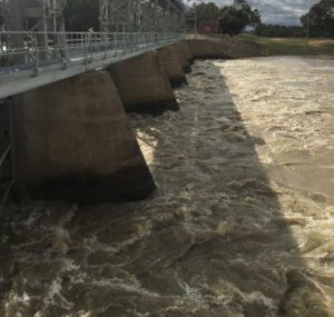 High rainfall in southern Murray-Darling Basin