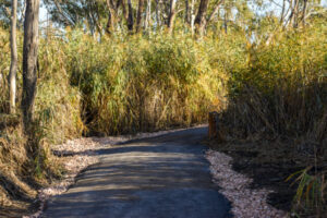 Nature reserve access restored