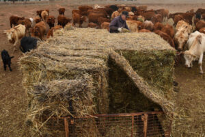 Be aware of biosecurity permits