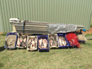 Pomona man fined $11,000 for illegal perch haul
