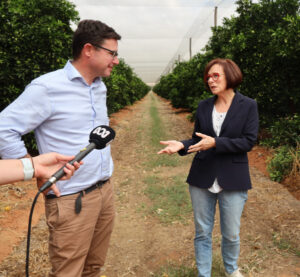 PALM wage ‘will hit grocery bills’
