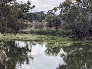 River flush late in release