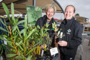 Green thumbs snap up trees