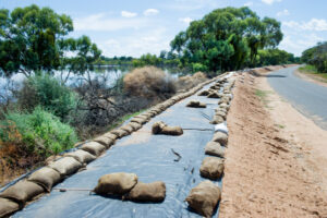 Council asked to take over residents’ levee