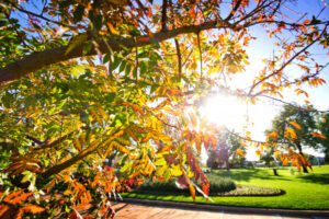Legacy centenary plaque for Henderson Park
