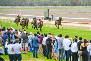 Sunraysia Daily Mallee Cup: Winning ride on Midnight Cowboy