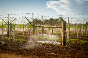 Irrigators seeking ‘damage’ costs