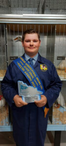 Young judge’s poultry in action