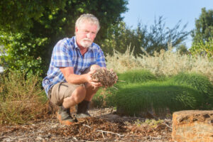 Wasted and rotten: Bad batch of mulch contaminated with carcinogens