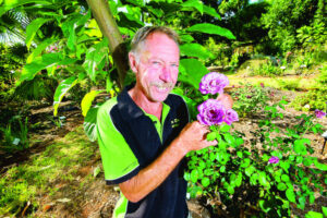 Roses bloom for expo