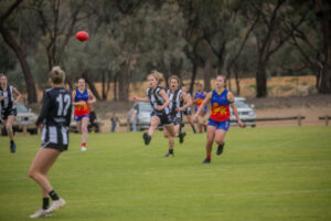 Accolades for Pies veteran and prodigy