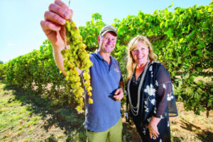 All-weather varieties to secure industry’s future: Bulletproof grapes