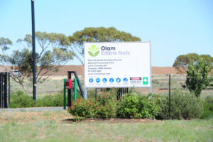 Mobile phone partners boost Annuello coverage