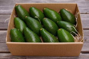 Avocado yield set to treble in tristate region