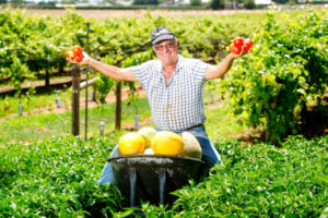 A garden grown with love