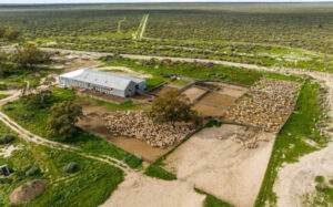 Rural property market not slowing down