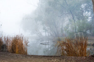 Mildura records coldest morning in six years