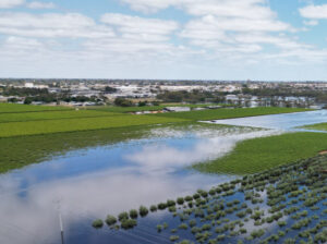 Nervous wait for flood-hit growers