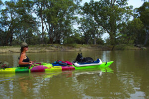 Murray River’s majesty set for big season