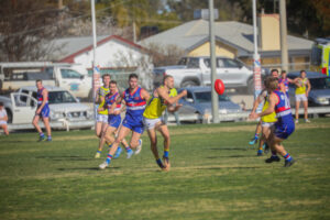 Resurgent Swallows will defend title