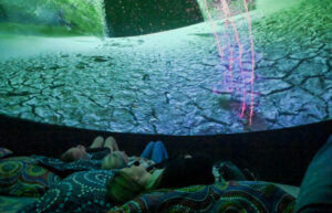 Mungo experience is on track