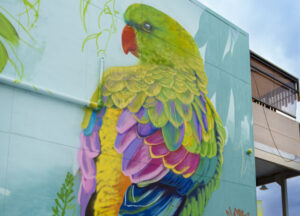 Colourful Mildura mural even greener than it looks