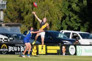 Red Cliffs downs Irymple
