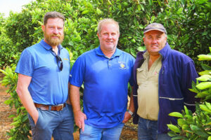 Problem that just won’t fly away