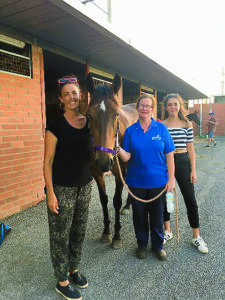 Fibskite continues Attard’s winning run