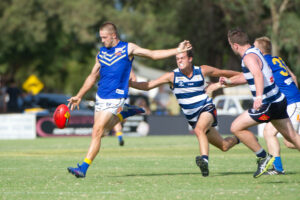 Swallows belt Bulldogs