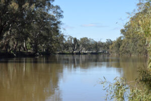Basin plan projects dial remains ‘on the red’