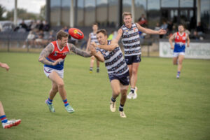 Dogs down challenged Roos