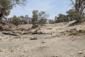 Keep irrigation embargo, say lower Darling water users