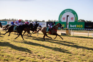 Harmonious Senora wins Mildura Cup.