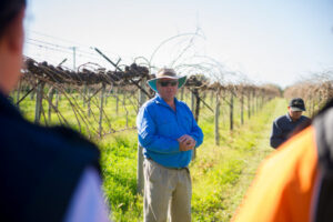 ‘King of the Currants’ reigns supreme