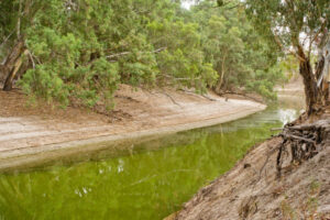 Special tribute to the Darling River